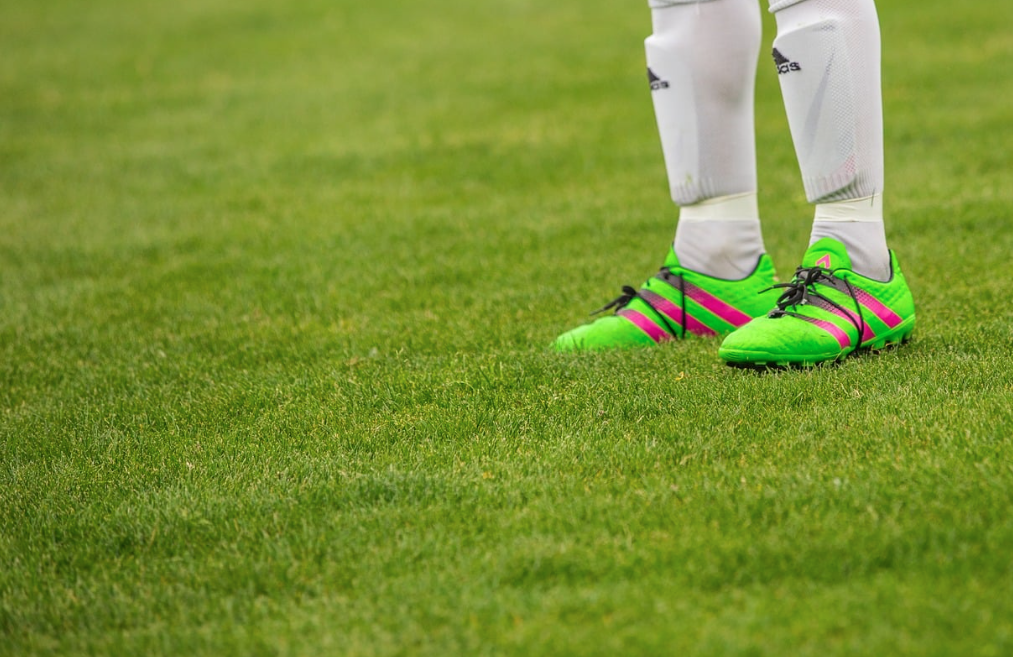 Europeturf || Europe Turf